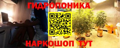 apvp Кандалакша