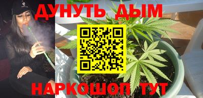 наркотики Камышлов